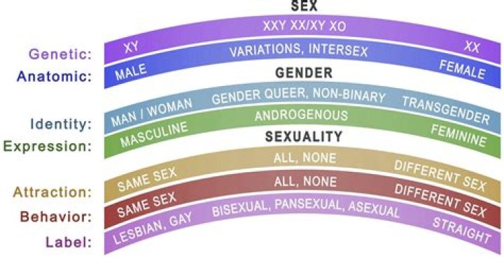 Becky Hammon's Sexual Orientation And Its Impact